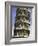 Leaning Tower of Pisa-Danny Lehman-Framed Photographic Print