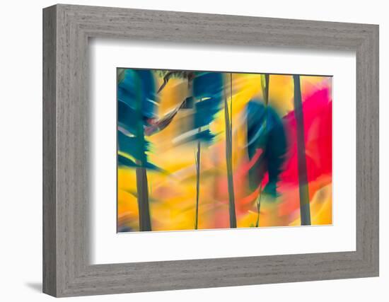 Leaning Trees-Ursula Abresch-Framed Photographic Print