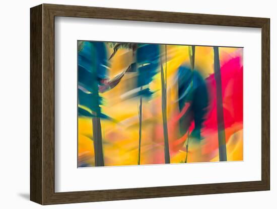 Leaning Trees-Ursula Abresch-Framed Photographic Print