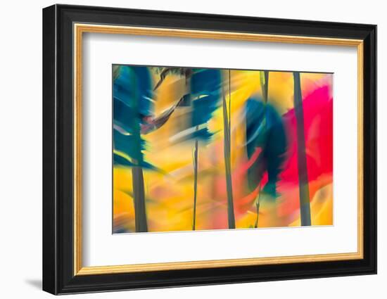 Leaning Trees-Ursula Abresch-Framed Photographic Print