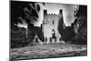 Leap Castle, County Offaly, Ireland-Simon Marsden-Mounted Giclee Print