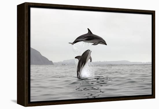 Leap-Nathan Secker-Framed Stretched Canvas