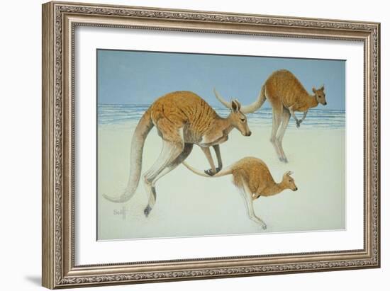 Leaping Ahead-Pat Scott-Framed Giclee Print