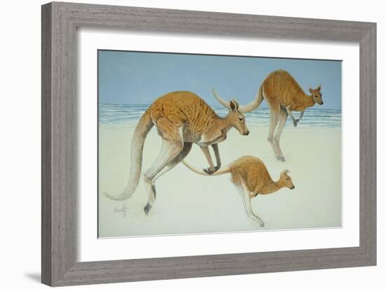 Leaping Ahead-Pat Scott-Framed Giclee Print