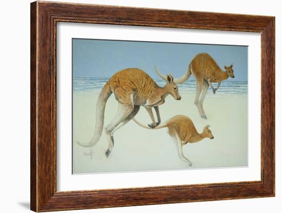 Leaping Ahead-Pat Scott-Framed Giclee Print