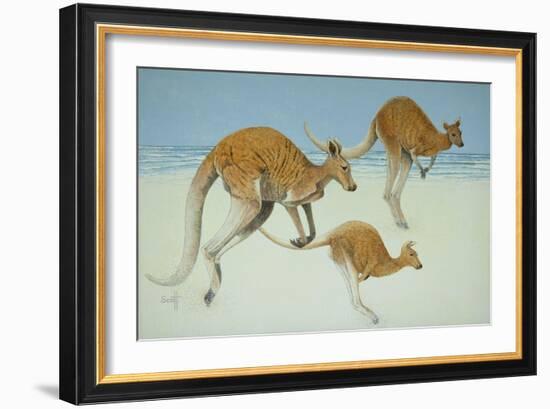 Leaping Ahead-Pat Scott-Framed Giclee Print