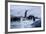 Leaping Gentoo Penguins on Wiencke Island, Antarctica-Paul Souders-Framed Photographic Print