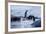 Leaping Gentoo Penguins on Wiencke Island, Antarctica-Paul Souders-Framed Photographic Print