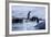 Leaping Gentoo Penguins on Wiencke Island, Antarctica-Paul Souders-Framed Photographic Print