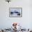 Leaping Gentoo Penguins on Wiencke Island, Antarctica-Paul Souders-Framed Photographic Print displayed on a wall