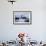 Leaping Gentoo Penguins on Wiencke Island, Antarctica-Paul Souders-Framed Photographic Print displayed on a wall