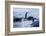 Leaping Gentoo Penguins on Wiencke Island, Antarctica-Paul Souders-Framed Photographic Print