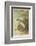 Leaping Salmon-P. J. Smit-Framed Photographic Print