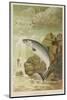 Leaping Salmon-P. J. Smit-Mounted Photographic Print