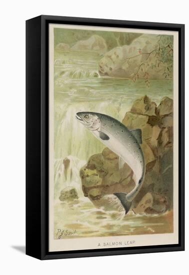 Leaping Salmon-P. J. Smit-Framed Premier Image Canvas