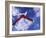 Leaping Skier-null-Framed Photographic Print