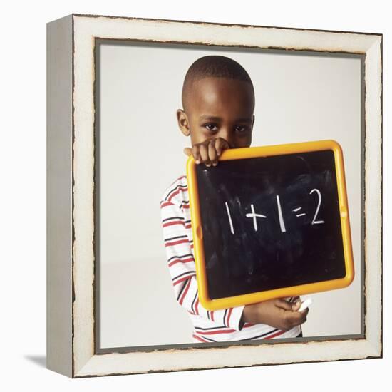 Learning Arithmetic-Ian Boddy-Framed Premier Image Canvas