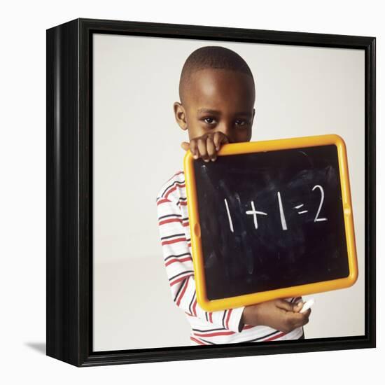 Learning Arithmetic-Ian Boddy-Framed Premier Image Canvas