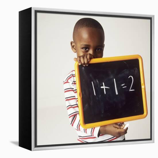 Learning Arithmetic-Ian Boddy-Framed Premier Image Canvas