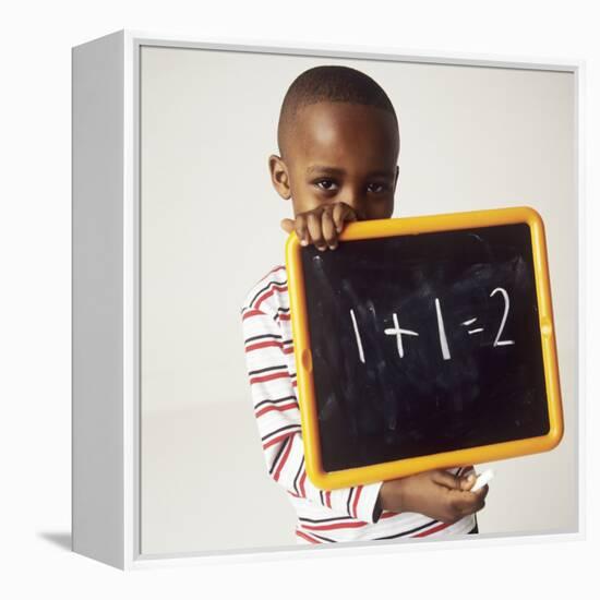 Learning Arithmetic-Ian Boddy-Framed Premier Image Canvas