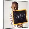 Learning Arithmetic-Ian Boddy-Mounted Premium Photographic Print