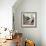 "Learning to Fly", June 20, 1953-John Falter-Framed Giclee Print displayed on a wall