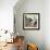 "Learning to Fly", June 20, 1953-John Falter-Framed Giclee Print displayed on a wall