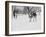 Learning To Ski-The Chelsea Collection-Framed Giclee Print