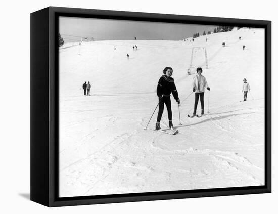 Learning to Ski-null-Framed Premier Image Canvas