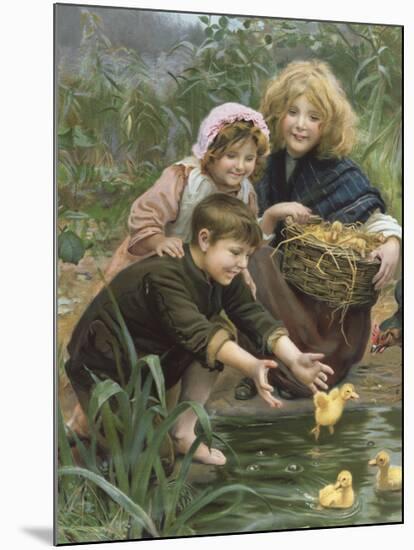 Learning to Swim-Arthur Elsley-Mounted Premium Giclee Print