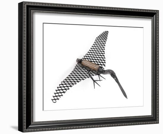 Least Bittern, 2006-Lawrie Simonson-Framed Giclee Print