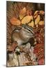 Least Chipmunk Among Leaves-null-Mounted Photographic Print