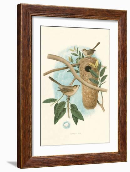 Least Tit-null-Framed Art Print