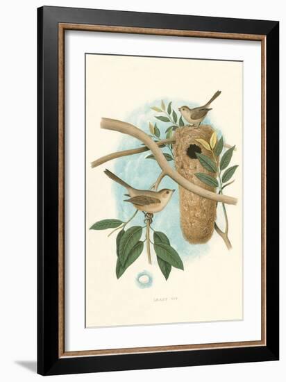 Least Tit-null-Framed Art Print