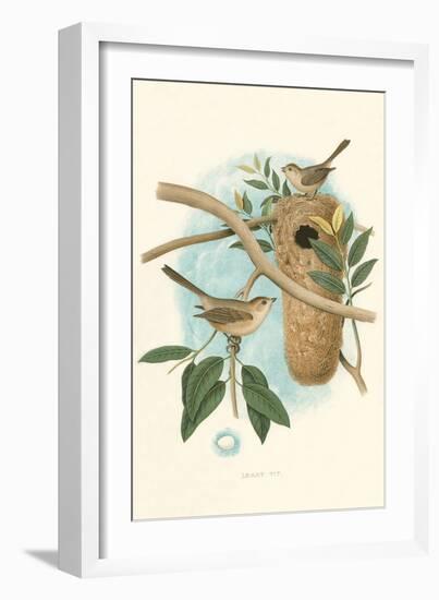 Least Tit-null-Framed Art Print