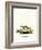 Least Weasel-null-Framed Giclee Print