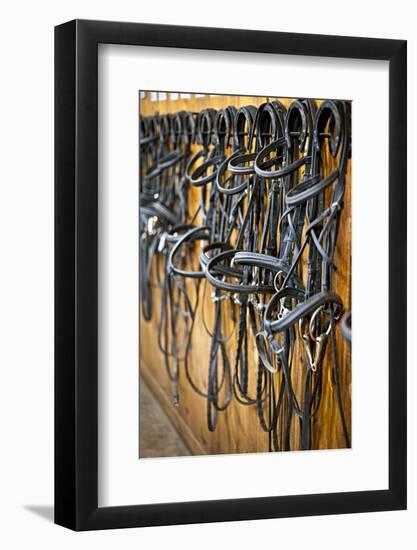 Leather Horse Bridles and Bits Hanging on Wall of Stable-elenathewise-Framed Photographic Print