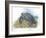 Leatherback Sea Turtle Dermochelys Coriacea Laying Eggs-null-Framed Giclee Print