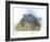 Leatherback Sea Turtle Dermochelys Coriacea Laying Eggs-null-Framed Giclee Print