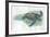 Leatherback Sea Turtle Dermochelys Coriacea-null-Framed Giclee Print