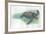 Leatherback Sea Turtle Dermochelys Coriacea-null-Framed Giclee Print