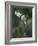 Leatherleaf, Near Jordan Pond, Acadia National Park, Maine, USA-Jerry & Marcy Monkman-Framed Photographic Print