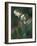 Leatherleaf, Near Jordan Pond, Acadia National Park, Maine, USA-Jerry & Marcy Monkman-Framed Photographic Print