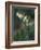 Leatherleaf, Near Jordan Pond, Acadia National Park, Maine, USA-Jerry & Marcy Monkman-Framed Photographic Print