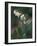 Leatherleaf, Near Jordan Pond, Acadia National Park, Maine, USA-Jerry & Marcy Monkman-Framed Photographic Print