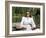 Leave Her To Heaven, Gene Tierney, 1945-null-Framed Photo