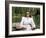 Leave Her To Heaven, Gene Tierney, 1945-null-Framed Photo