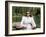 Leave Her To Heaven, Gene Tierney, 1945-null-Framed Photo