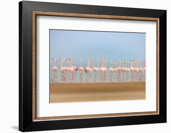 Leavers-Faisal ALnomas-Framed Photographic Print