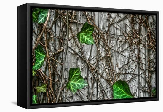 Leaves and Vines-null-Framed Stretched Canvas